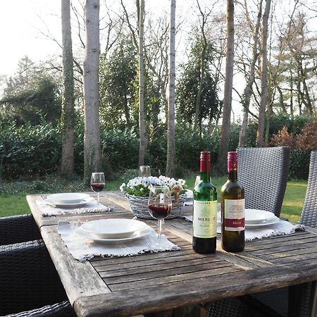Huinerhofje 3 - Vrijstaand, Grote Tuin, Rust En Veel Privacy Nabij Uitgestrekte Bossen Villa Putten Ngoại thất bức ảnh